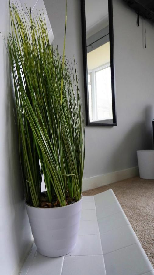 Portobello House - Four Bedroom House Perfect For Contractors - Sleeps 6 - Free Parking Wolverhampton Buitenkant foto